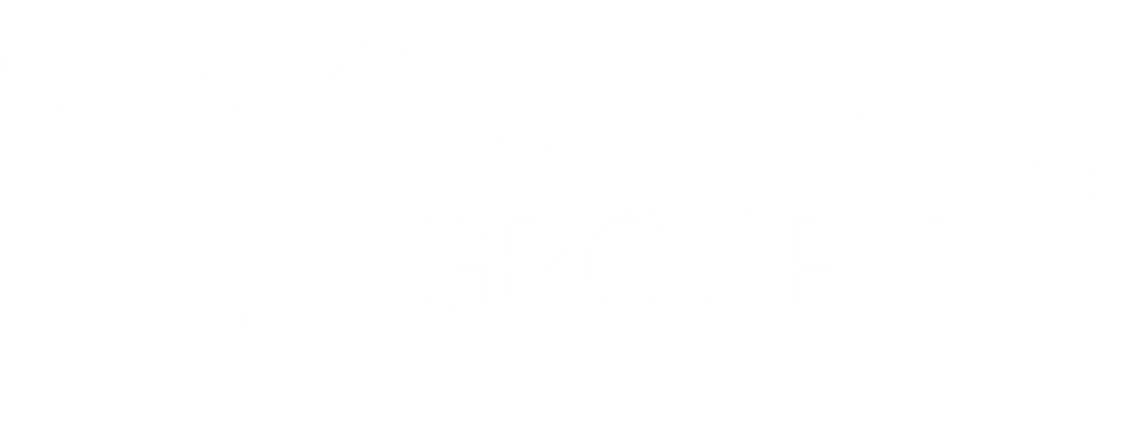 Nuova Patavium Group logo with stylized bird design and bold text.